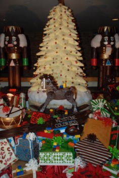 2010-12-18-012 Christmas in Colorado.jpg